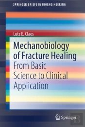 Mechanobiology Of Fracture Healing