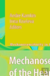 Mechanosensitivity Of The Heart