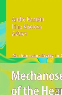 Bertrand.pt - Mechanosensitivity Of The Heart