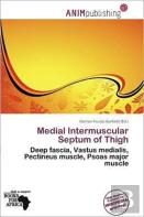 Medial Intermuscular Septum Of Thigh