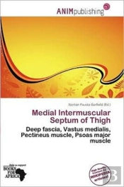 Medial Intermuscular Septum Of Thigh
