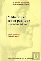 Médiation Et Action Publique : La Dynamique Du Fluide (Édition 2005)