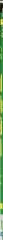 Medical Assistance Specialist Iii, Iv
