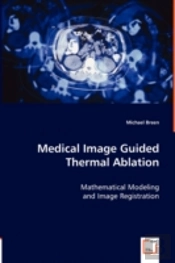 Medical Image Guided Thermal Ablation