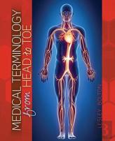 Medical Terminology From Head To Toe