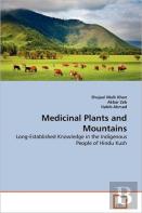 Medicinal Plants And Mountains