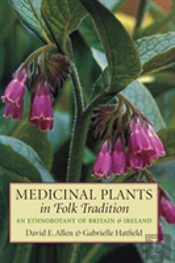 Medicinal Plants In Folk Tradition