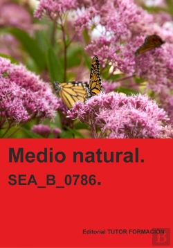 Bertrand.pt - Medio Natural. Sea_B_0786.
