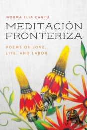 Meditacion Fronteriza