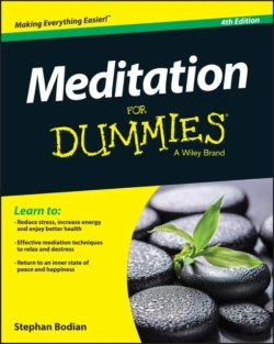 Bertrand.pt - Meditation For Dummies