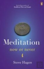 Meditation Now Or Never