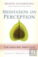 Meditation On Perception