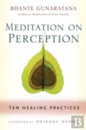 Meditation On Perception