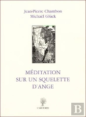 Meditation Sur Un Squelette D'Ange