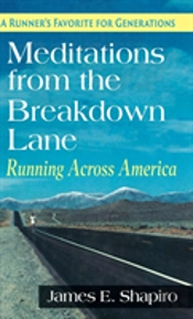 Meditations From The Breakdown Lane