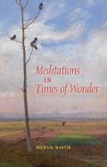 Meditations In Times Of Wonder