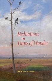 Meditations In Times Of Wonder