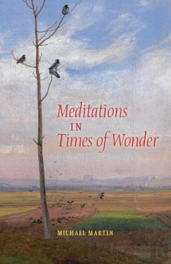 Bertrand.pt - Meditations In Times Of Wonder