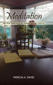 Meditations: Set Your Affections On Thin
