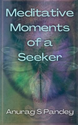 Bertrand.pt - Meditative Moments Of A Seeker