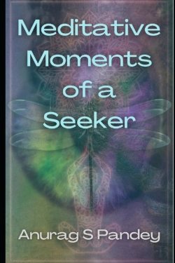 Bertrand.pt - Meditative Moments Of A Seeker