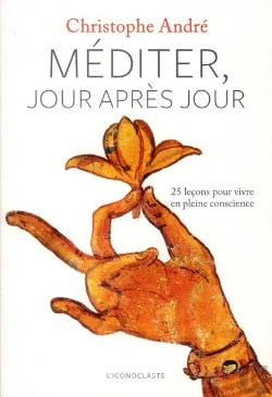 Bertrand.pt - Méditer Jour Après Jour ; 25 Leçons Pour Vivre En Pleine Conscience