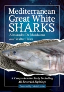 Bertrand.pt - Mediterranean Great White Sharks