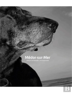 Bertrand.pt - Médor-Sur-Mer