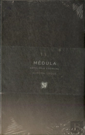 Médula