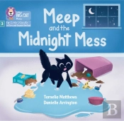 Meep And The Midnight Mess
