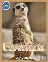 Meerkat Activity Workbook For Kids Ages 4-8
