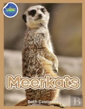 Meerkat Activity Workbook For Kids Ages 4-8