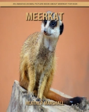 Meerkat