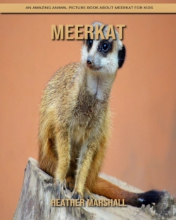 Bertrand.pt - Meerkat