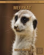 Meerkat