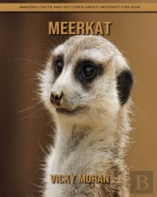 Meerkat