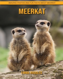 Bertrand.pt - Meerkat