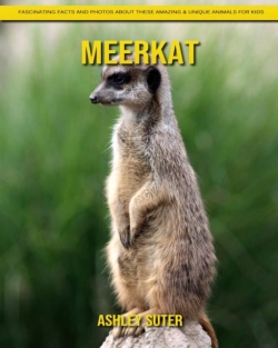 Bertrand.pt - Meerkat
