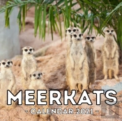 Meerkats Calendar 2021