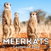 Meerkats Calendar 2021
