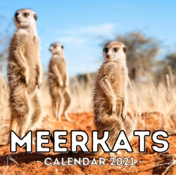 Bertrand.pt - Meerkats Calendar 2021