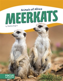Bertrand.pt - Meerkats