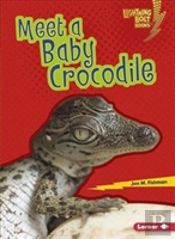 Meet A Baby Crocodile