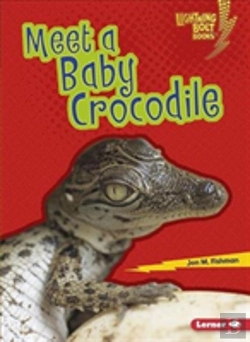 Bertrand.pt - Meet A Baby Crocodile