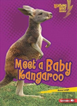 Meet A Baby Kangaroo