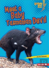 Meet A Baby Tasmanian Devil