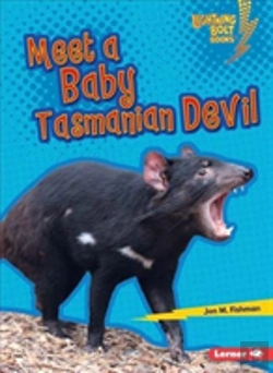 Bertrand.pt - Meet A Baby Tasmanian Devil