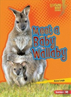 Bertrand.pt - Meet A Baby Wallaby