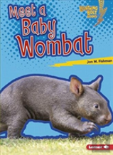 Meet A Baby Wombat