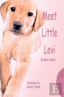 Meet Little Levi